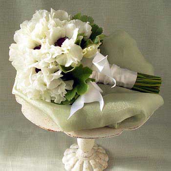 white wedding bouquet ideas. Bridal Bouquet Ideas February 26, 2009